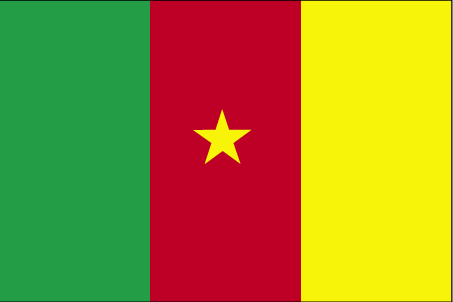 International Shiping from to Cameroon