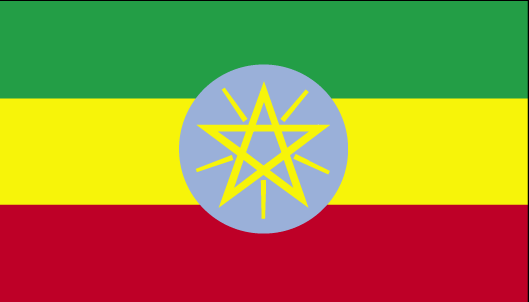 International Shiping from to Ethiopia