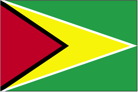 International Shiping from to Guyana